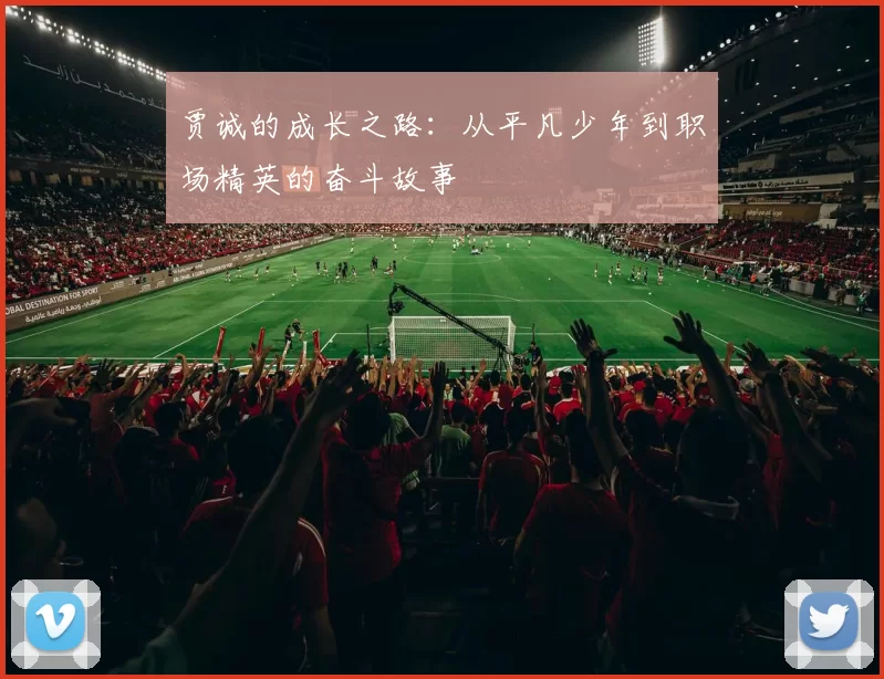 贾诚的成长之路：从平凡少年到职场精英的奋斗故事