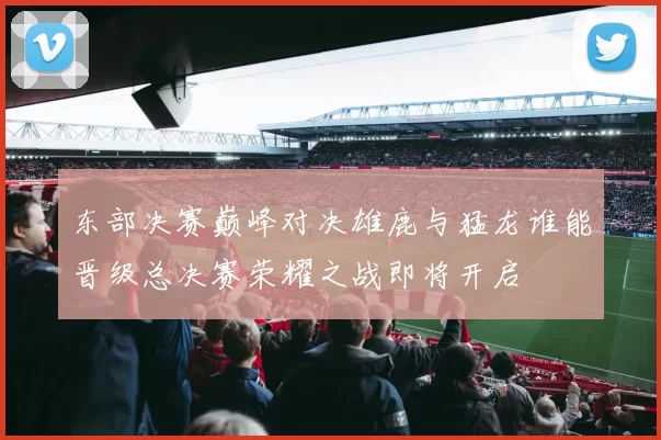 东部决赛巅峰对决雄鹿与猛龙谁能晋级总决赛荣耀之战即将开启