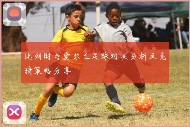 比利时与爱尔兰足球对决分析及竞猜策略分享
